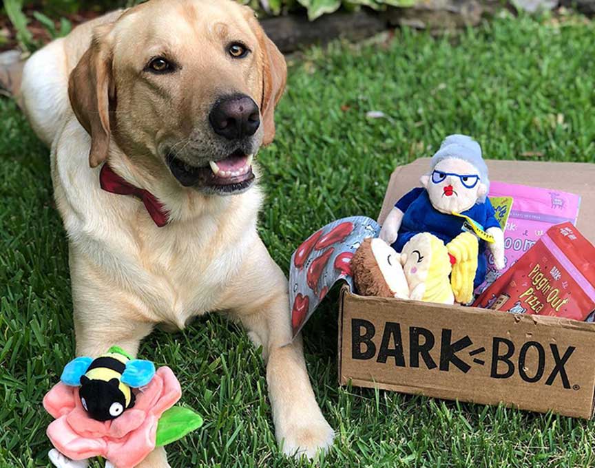 20181212090554_55159